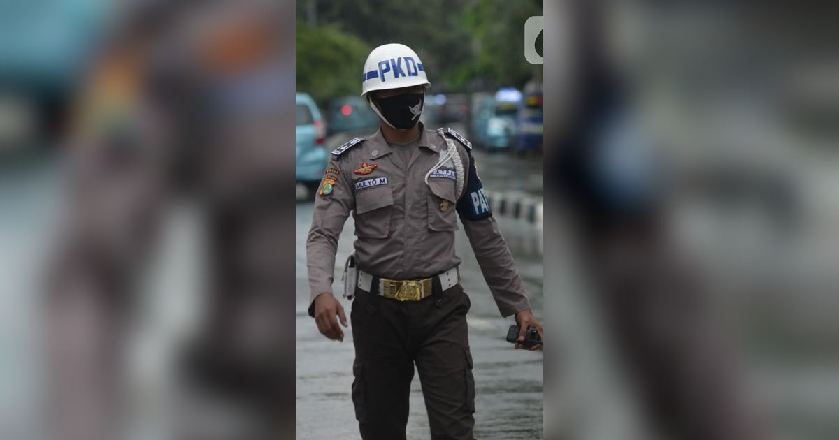 Daftar Gaji Honorer Satpam, Sopir, hingga Petugas Kebersihan dari Aceh hingga Papua