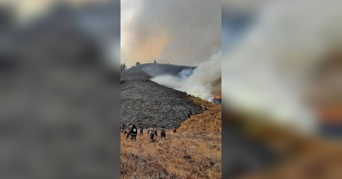 FOTO: Kondisi Terkini Bukit Teletubbies Bromo yang Terbakar Diduga Akibat Flare Prewed