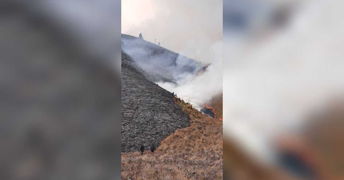 Kebakaran Bukit Teletubbies Bromo Diduga Akibat Flare Prewed, Manajer Wedding Organizer jadi Tersangka