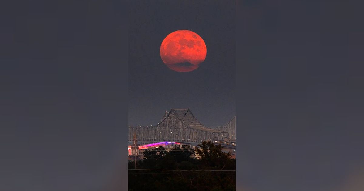 Ilmuwan Ungkap Bulan Ternyata Perlahan Menjauhi Bumi, Ini Dampaknya