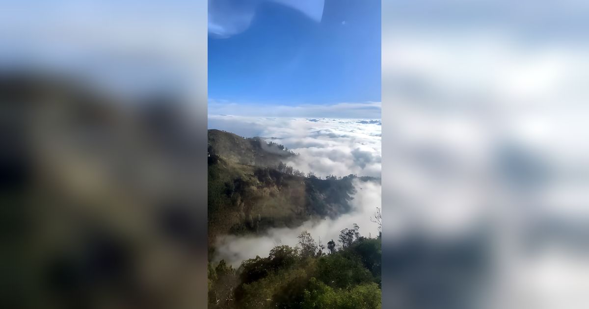 Viral Warung Kopi di Atas Awan, Pemandangan bak Kayangan di Cerita Dongeng