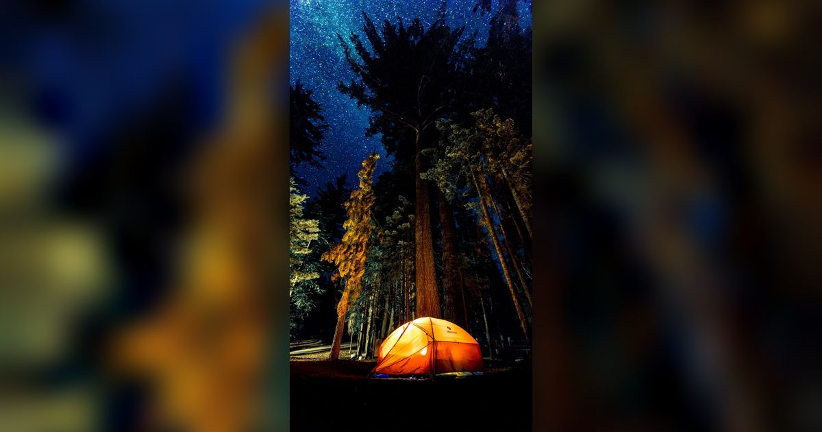 Malam Mencekam! Kamping di Tengah Hutan, Tenda Diseruduk dan Dijilati Dua Singa Raksasa