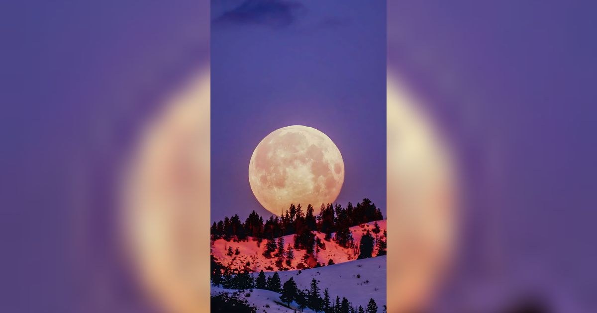 Saking Cintanya, Pria Ini Beli 1 Hektare Tanah di Bulan untuk Sang Istri