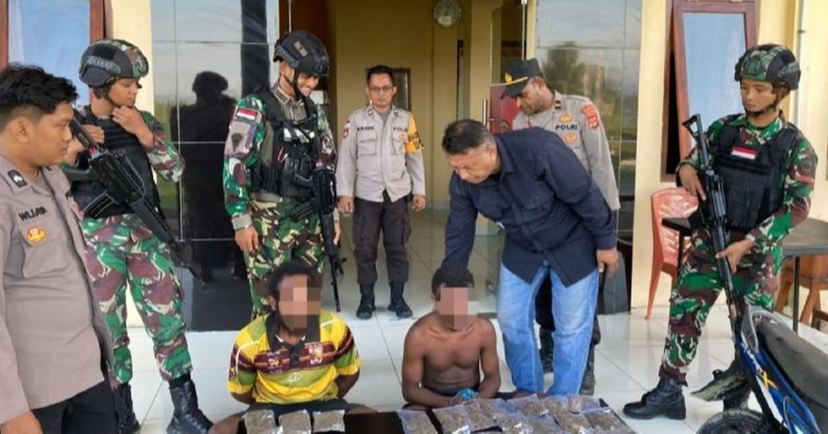 Polisi Ringkus Pemilik 35 Paket Ganja Kering di Jayapura