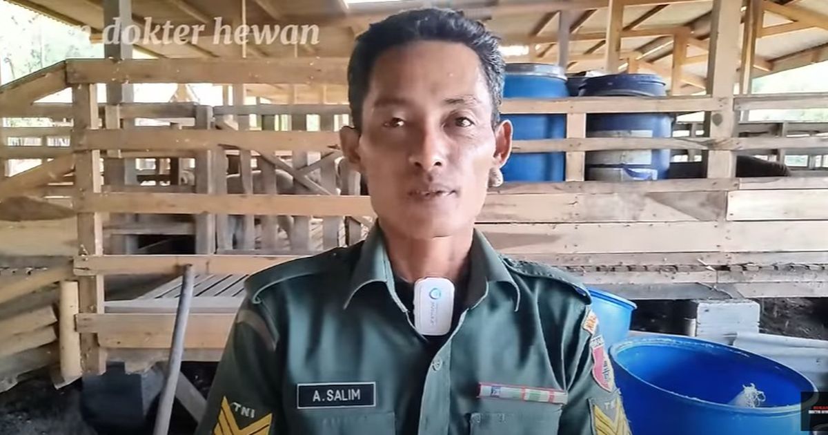 Kisah Sukses Serma Agus Salim, Berternak Domba 100 Ekor Untung Berlimpah