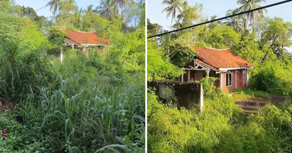 Pria Ini Temukan Rumah Terbengkalai di Tepi Jalan, Penampakannya Bikin Ngeri