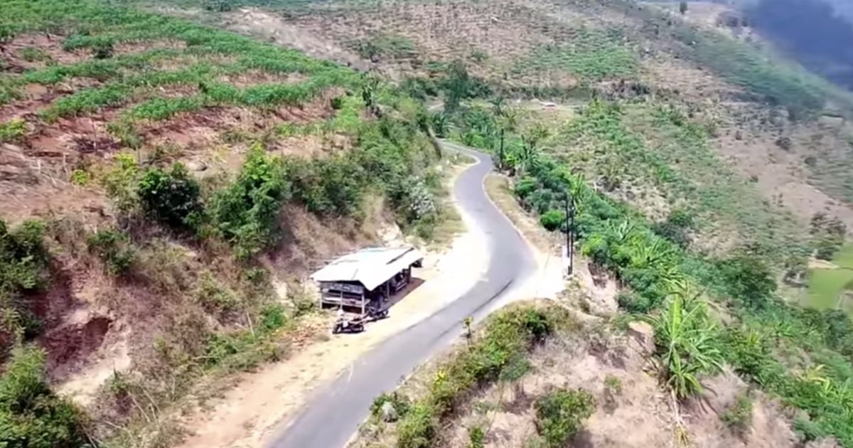 Seorang Sinden Buka Warung Nasi Kucing di Gunung Wilis, Laris Manis Ramai Pembeli