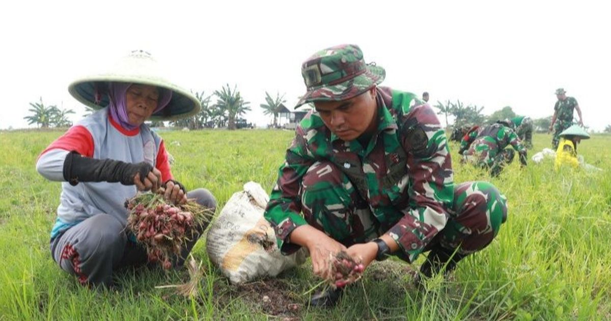 Berseragam Lengkap, Jenderal Bintang Satu Panen Bawang Merah