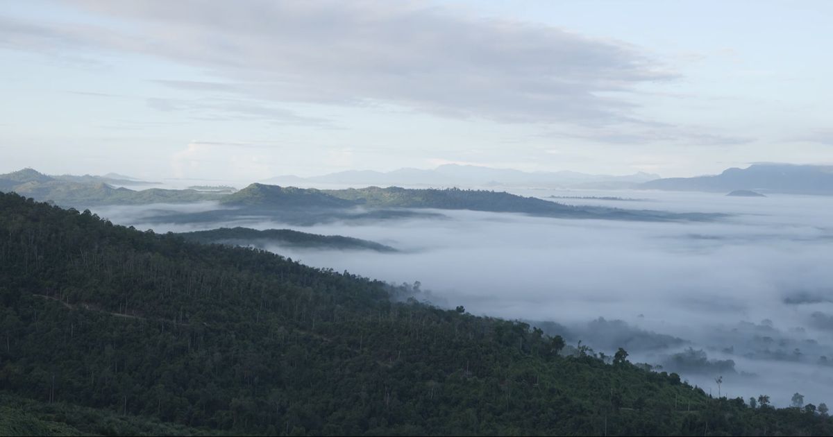 Menikmati Sensasi Gumpalan Awan di Gunung Embun, Pesona Hutan Mangrove Hingga Museum Sadurengas