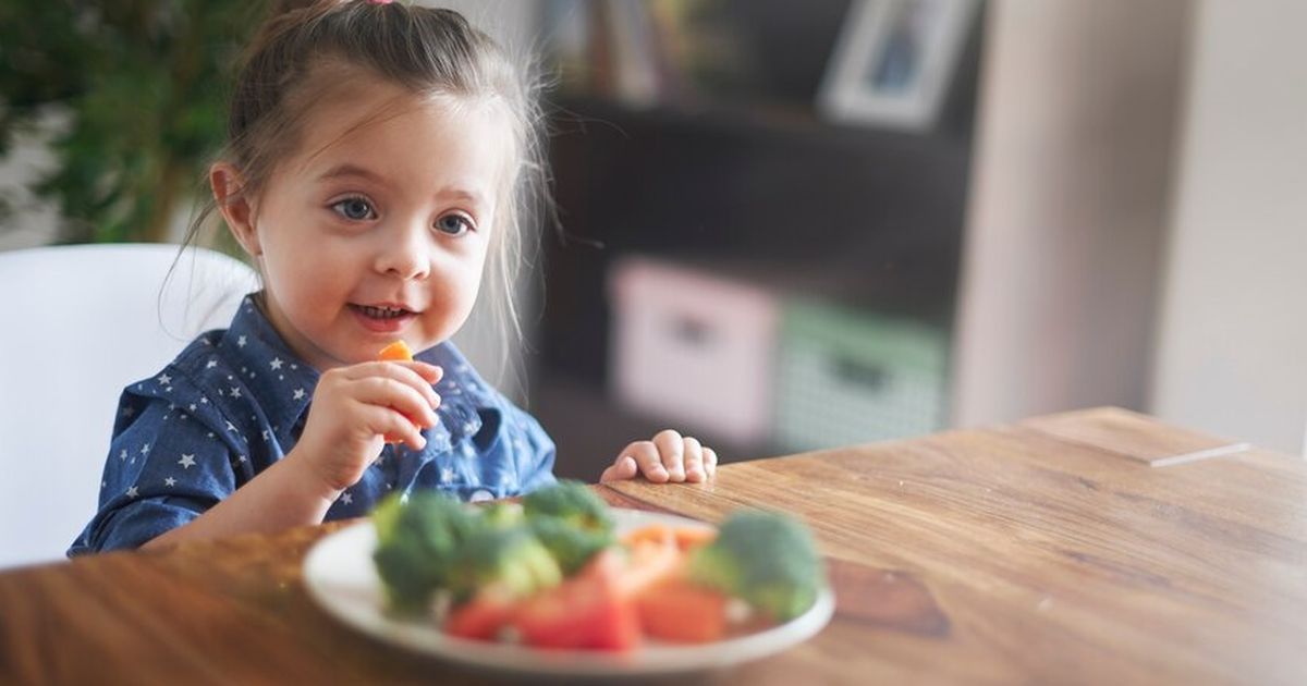 Minat Makan Sayur Anak Bisa Diatasi dengan Penyajian yang Menarik