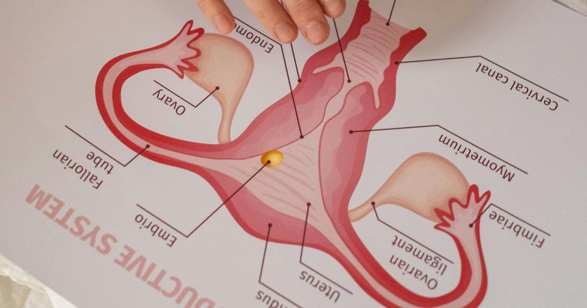 Bikin Vagina Tidak Sehat dan Mudah Keputihan, Ini 8 Hal yang Harus Dihindari