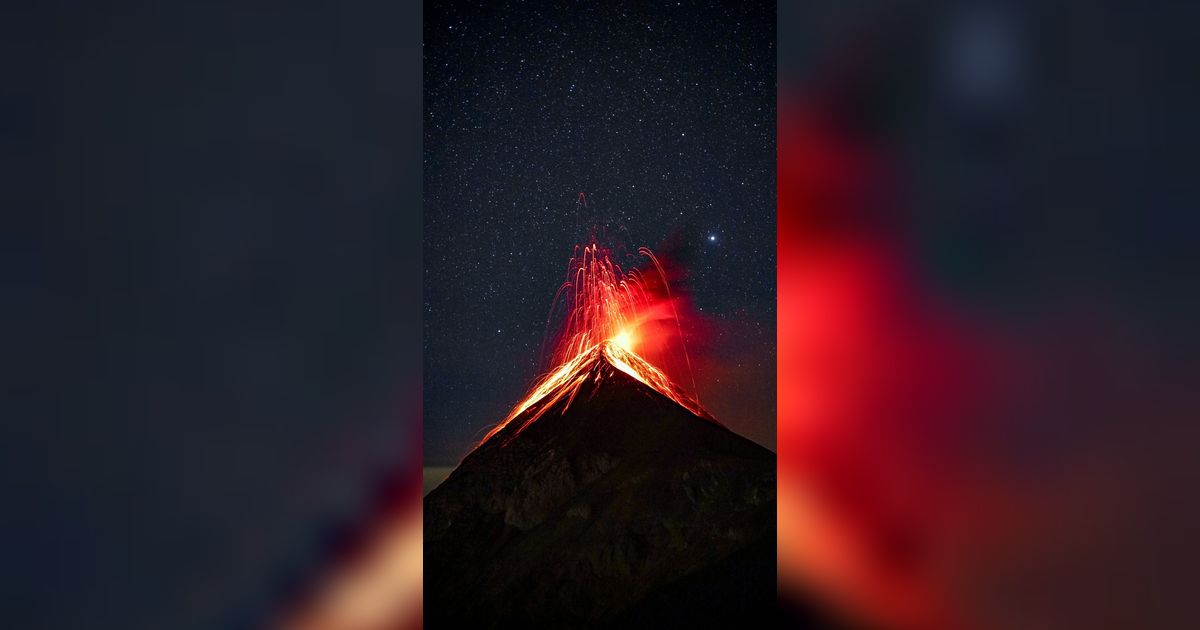 Ahli Geologi Sebut Pohon Dapat Prediksi Letusan Gunung Berapi, Benarkah?