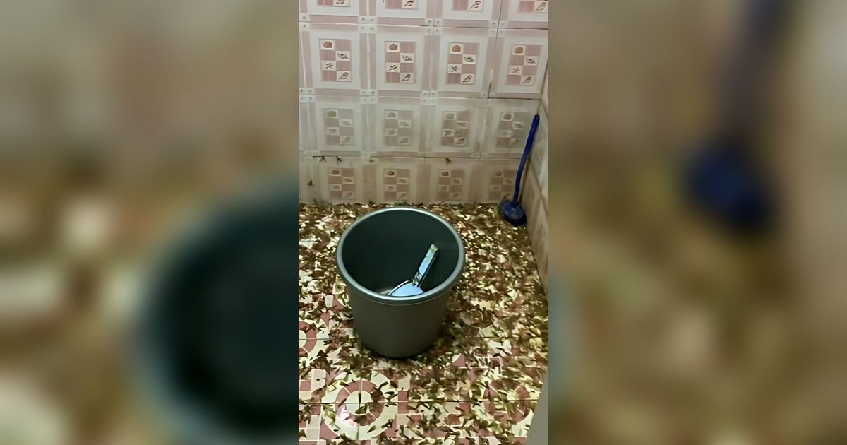 Bikin Merinding! Penampakan Kamar Mandi Dipenuhi Laron, Netizen: Malah Kayak Rumah Terbengkalai