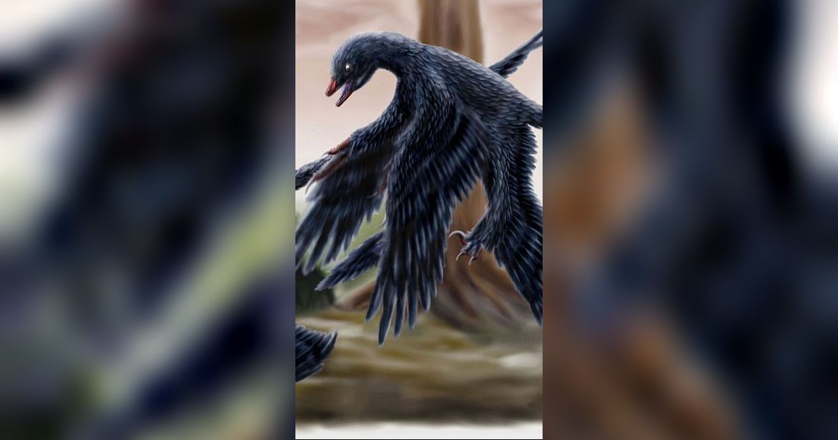 Fosil Kaki Microraptor Buktikan Perilakunya Mirip Elang saat Menangkap Mangsa