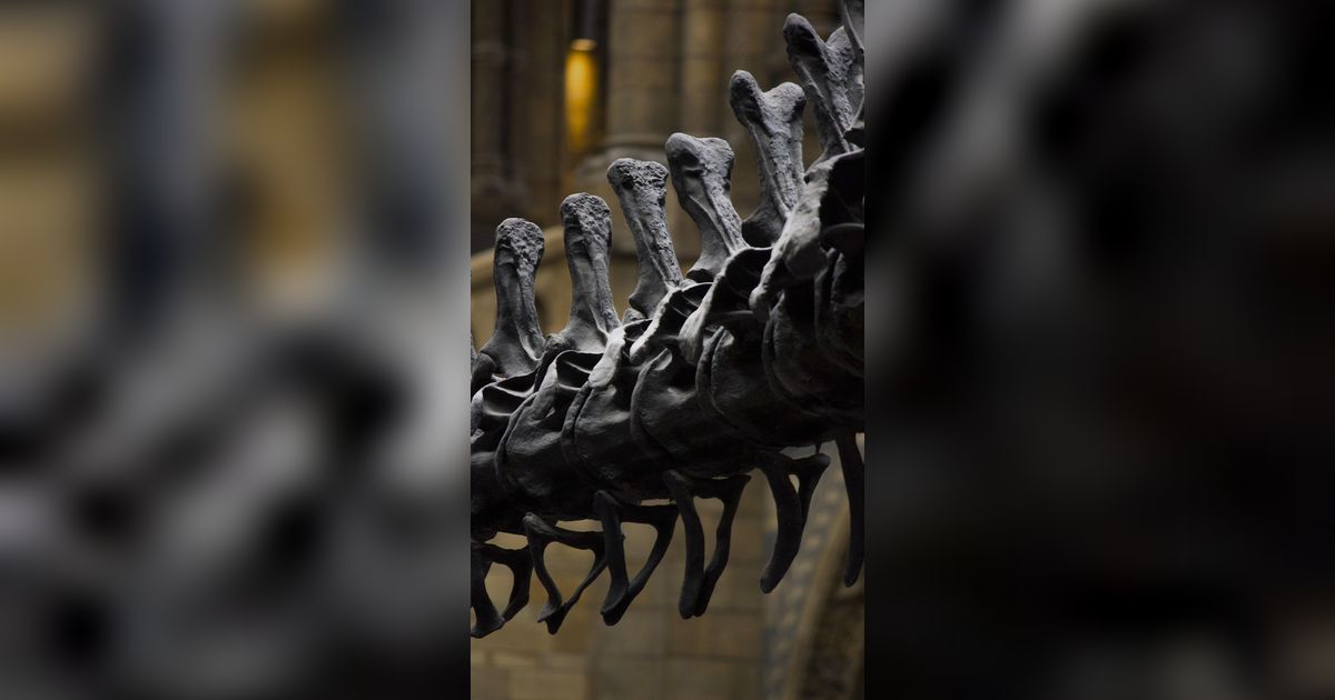 Tulang Dinosaurus Pertama Mungkin Telah Ditemukan Hampir 1.000 Tahun Lalu di Afrika