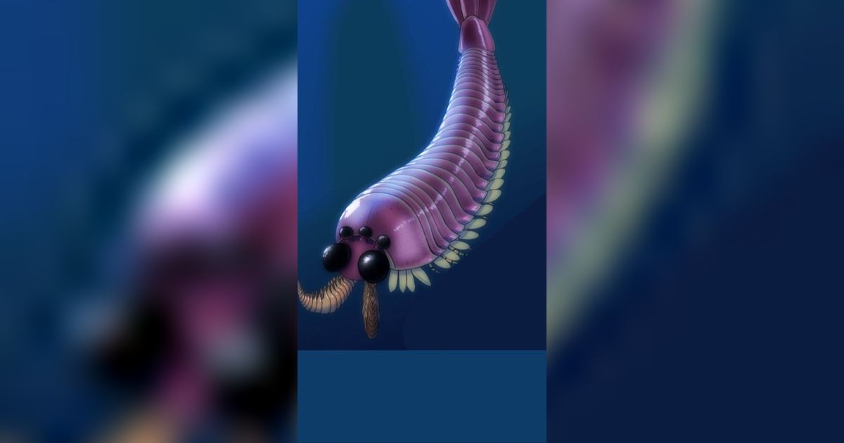 Ilmuwan Temukan Antropoda Mirip Udang dengan Tiga Mata dan Bentuk Aneh
