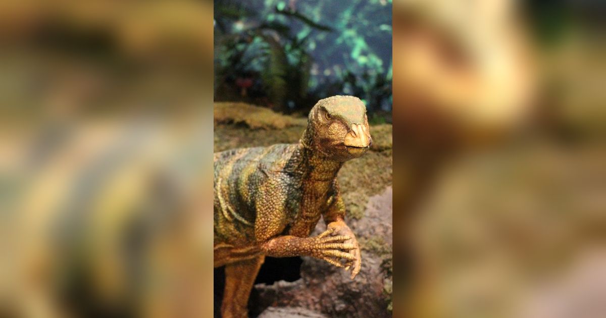 Penemuan Fosil Spesies Baru dari Dinosaurus Ornithopod Mulai Digali di Texas