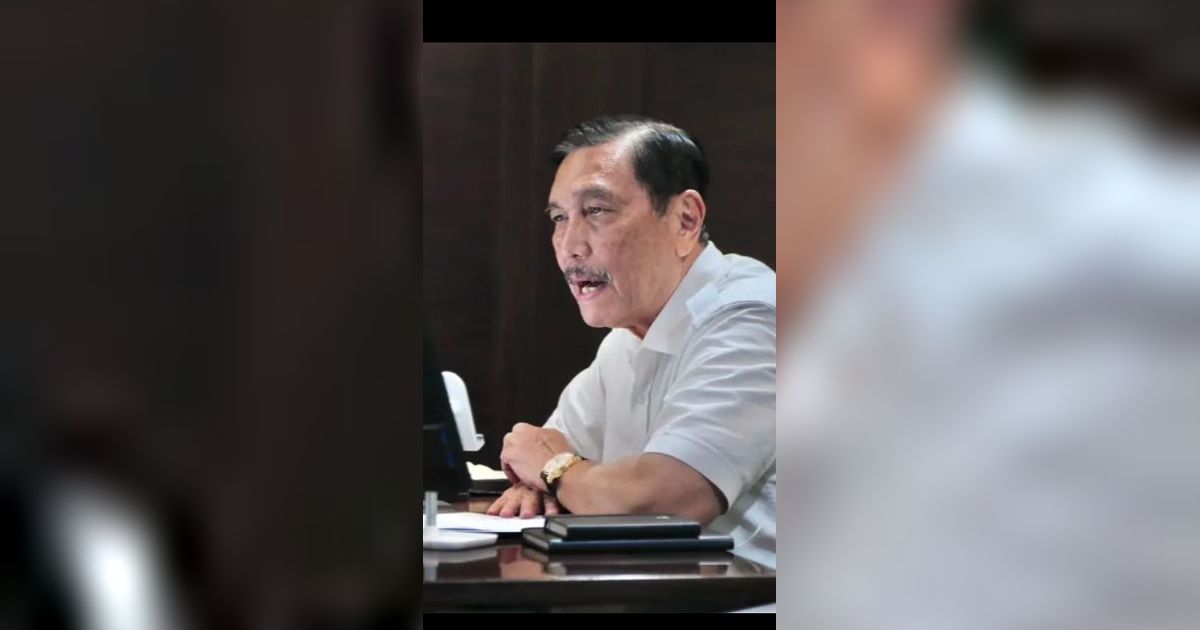 Luhut Dapat Mandat dari Jokowi, Percepat Digitalisasi Kementerian Lembaga