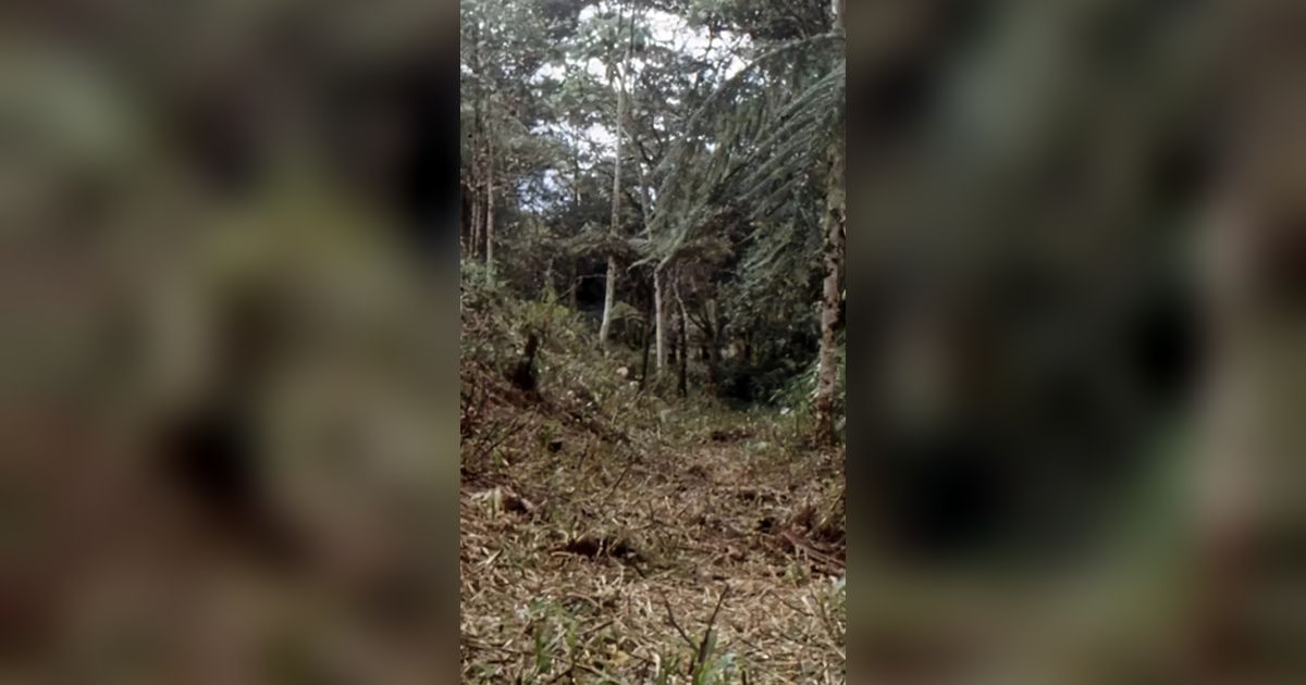 Arkeolog Temukan Kota Canggih yang Mendadak Hilang 3.000 Tahun Lalu, di Sini Lokasinya