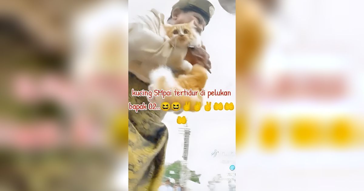 Prabowo Subianto Mendadak Berhenti Pidato Saat Kampanye, Ternyata karena Lihat Kucing Gemoy Milik Warga, Langsung Digendong ke Panggung