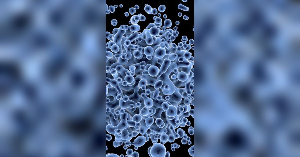 Macam-Macam Virus dan Pengaruhnya pada Tubuh, Perlu Diwaspadai