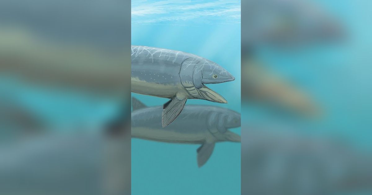 Heboh Penemuan Spesies Baru Ikan Purba dari Hasil Fosil Tengkorak Jutaan Tahun Lalu