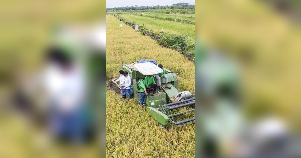 Dekan Pertanian Unbraw Berikan Tanggapan Seputar Kesalahpahaman Terkait Kebijakan Food Estate