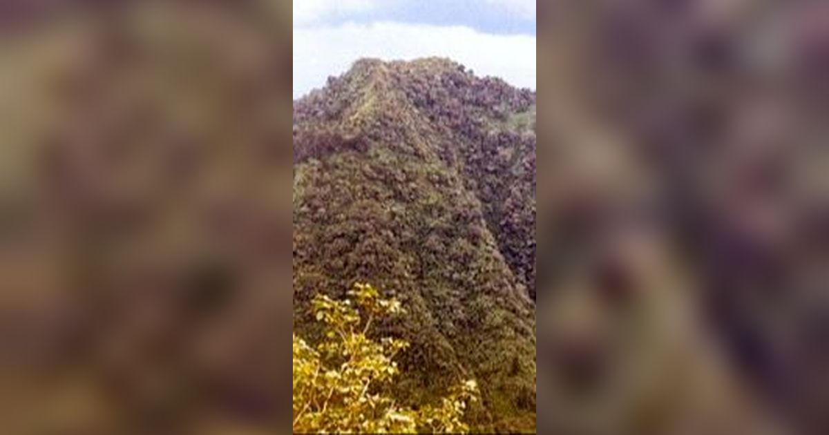 Sisi Menarik Bukit Turgo Pakem, Wisata Alam di Sleman yang Sarat Nilai Sejarah dan Pengetahuan