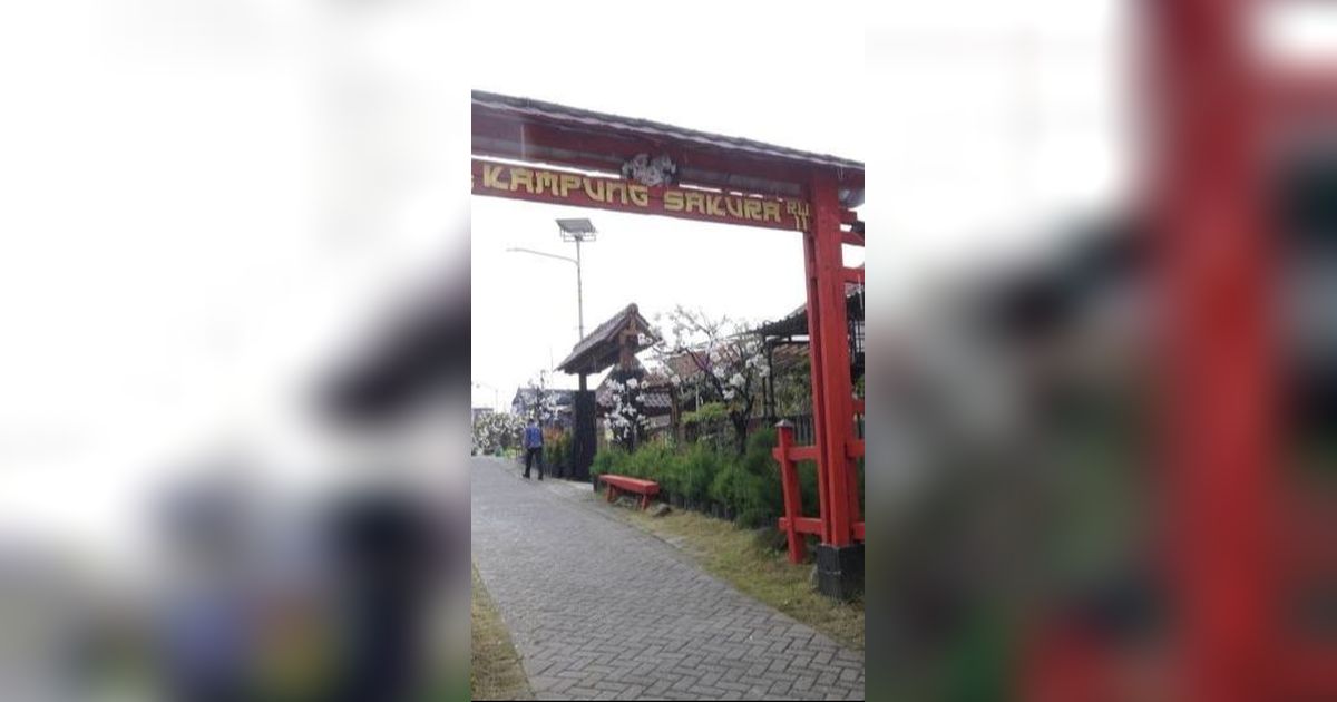 Mengintip Kampung Sakura Versi Kota Batu Tarik, Serasa di Jepang Beneran