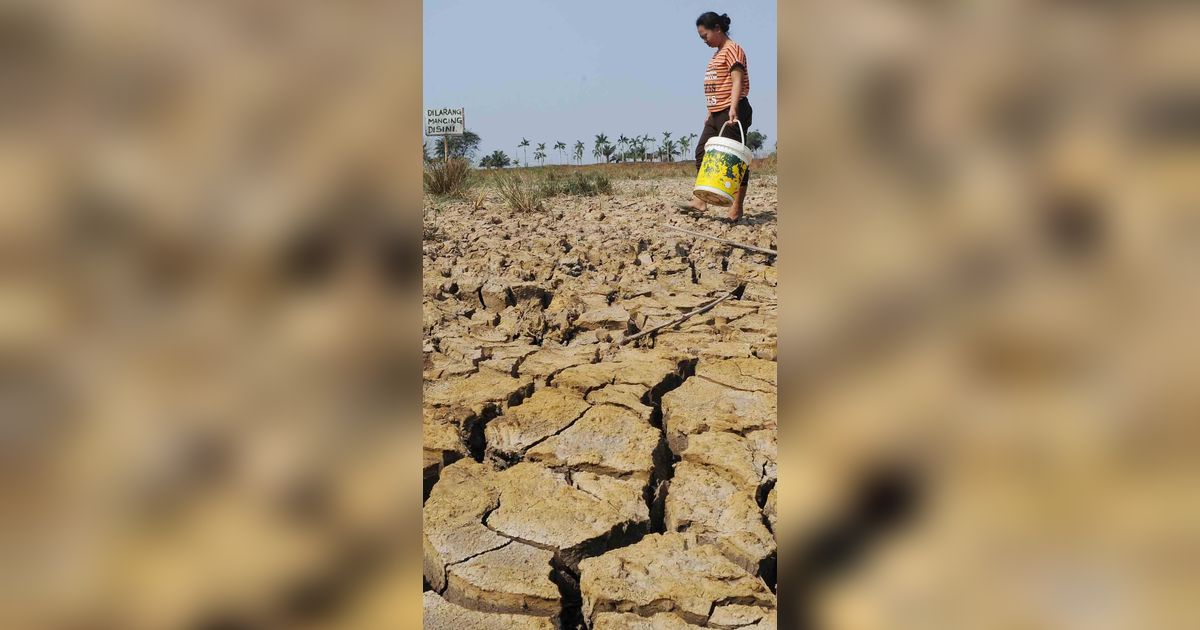 Pemerintah Akui Kurang Antisipasi Dampak El Nino di Indonesia