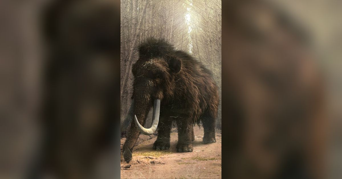 Ilmuwan Ungkap Mammoth Lakukan Perjalanan 965 Km Lintasi Amerika Utara