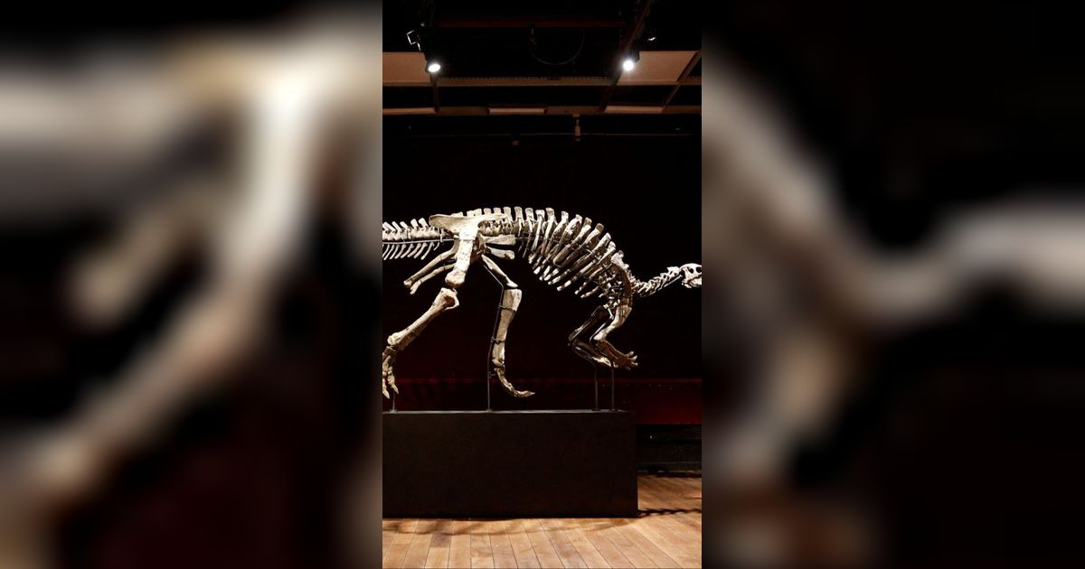 Tulang Dinosaurus Pertama Mungkin Telah Ditemukan Hampir 1.000 Tahun Lalu di Afrika