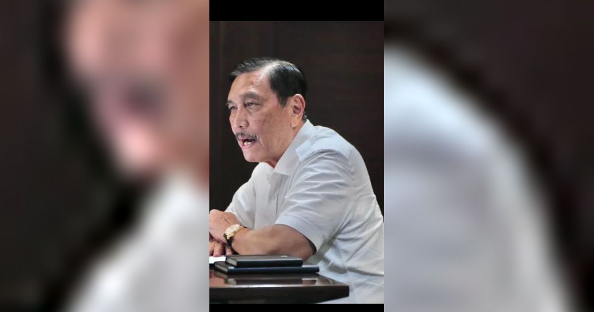 Luhut Bantah Tom Lembong soal Tesla Pilih Gunakan Baterai LFP Dibanding Nikel, Simak Penjelasannya