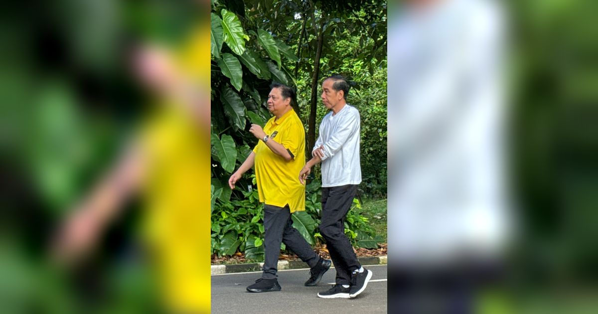 Airlangga: Pak Jokowi Nyaman dengan Golkar