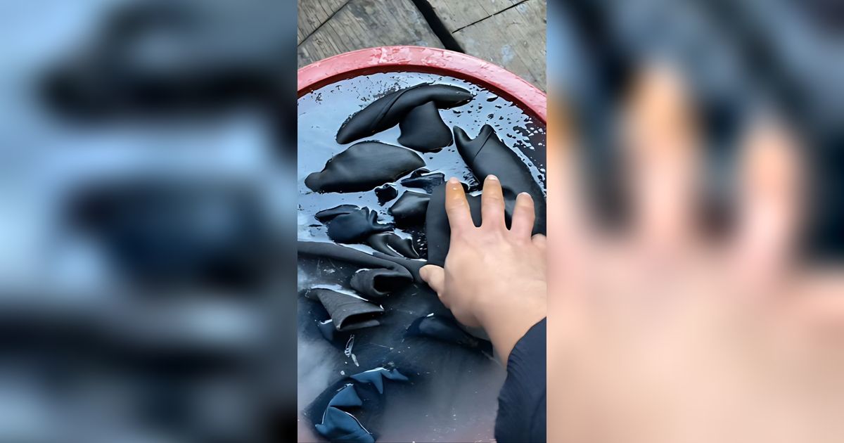 Ngakak! Cucian Milik TKI di Korea Ini Bikin Melongo, Air Sekalian Bajunya Membeku Gara-Gara Musim Dingin