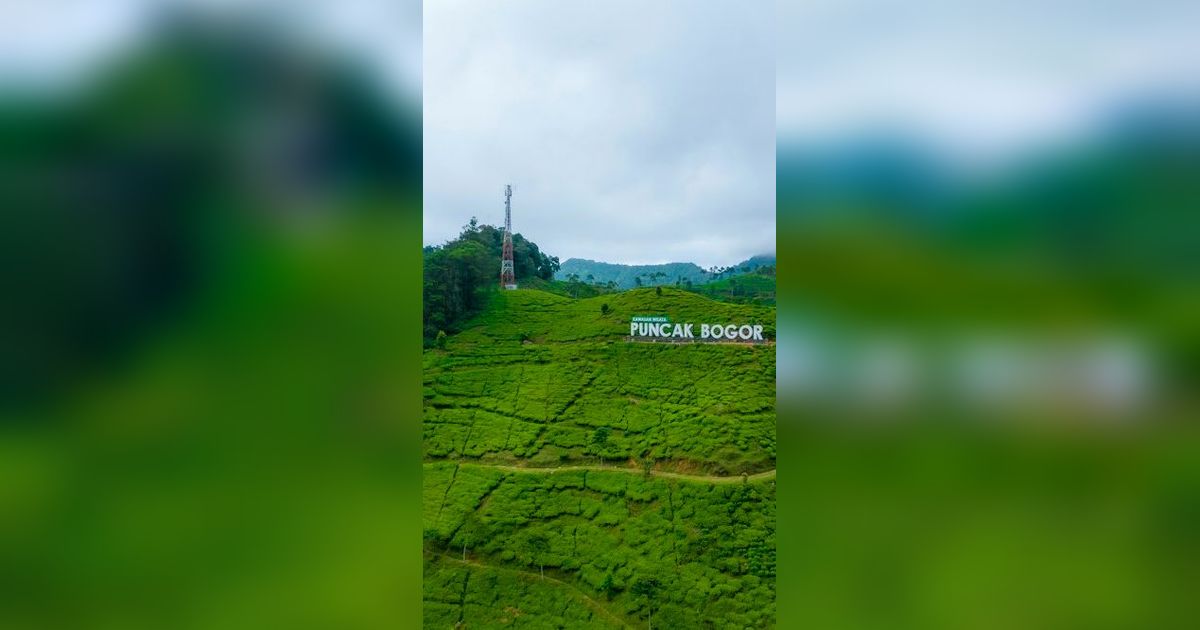 Wisata Puncak Bogor Populer, Seru dengan Pemandangan yang Indah