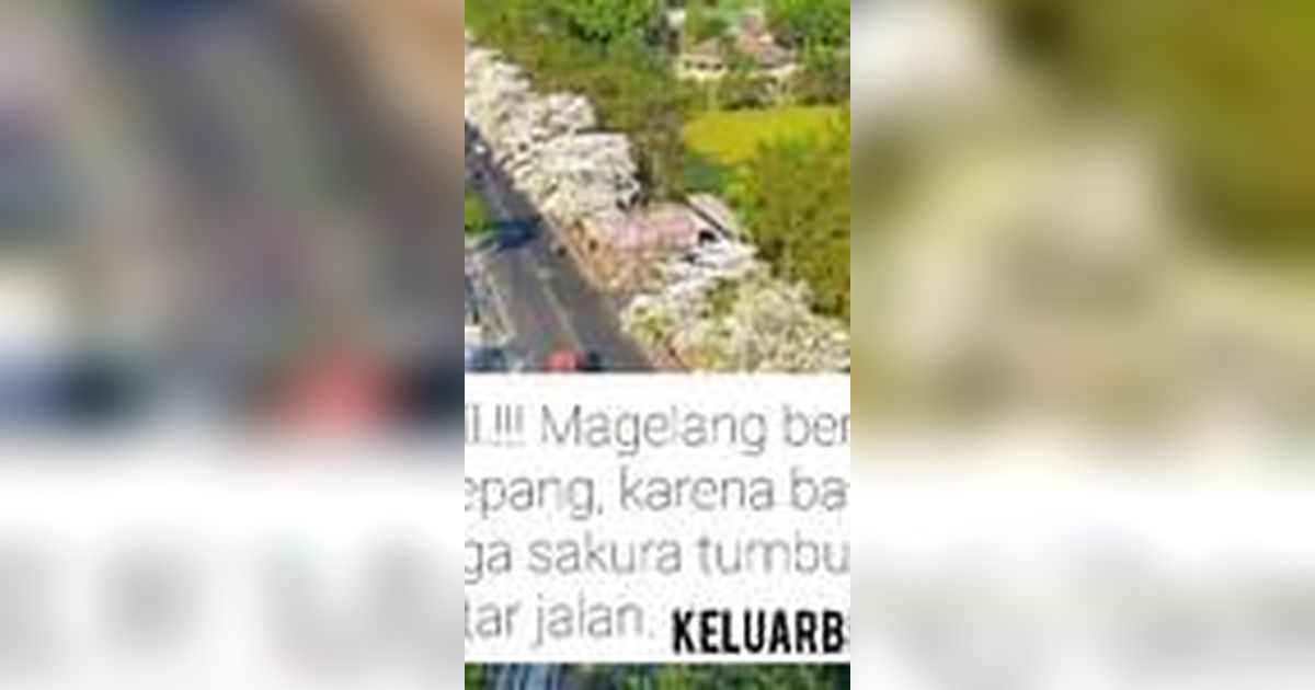 Keren Banget, Magelang Vibesnya Kayak di Jepang