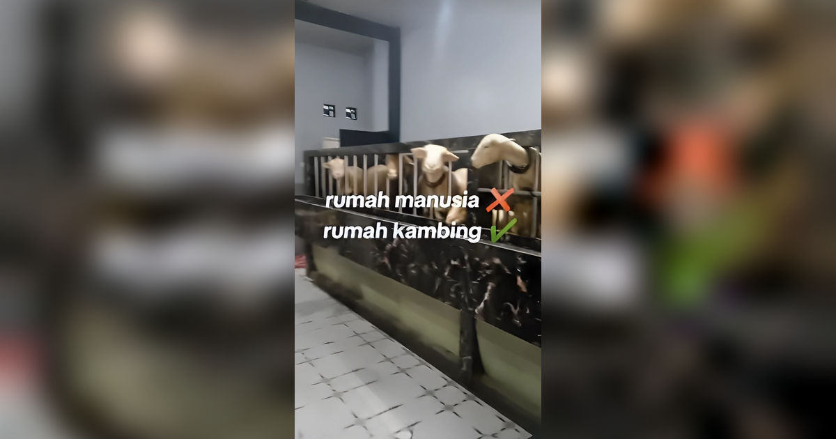 Viral Kandang Kambing Sultan di Banjarnegara, Rumah Tingkat Full Keramik