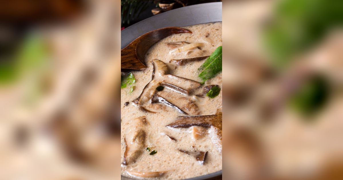 Racikan Mushroom Cream Sauce ala Restoran dari Dokter Koki