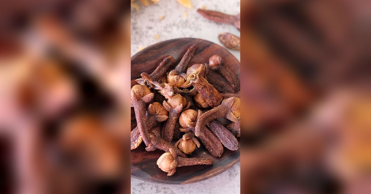 Cara Usir Cicak dan Lalat, Hanya Modal 3 Bahan yang Ada di Rumah