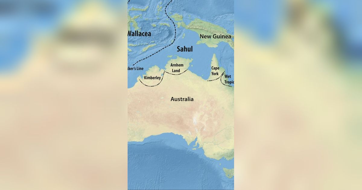 Arkeolog Temukan Benua yang Hilang Dekat Indonesia, Pernah Ada 59.000 Tahun lalu