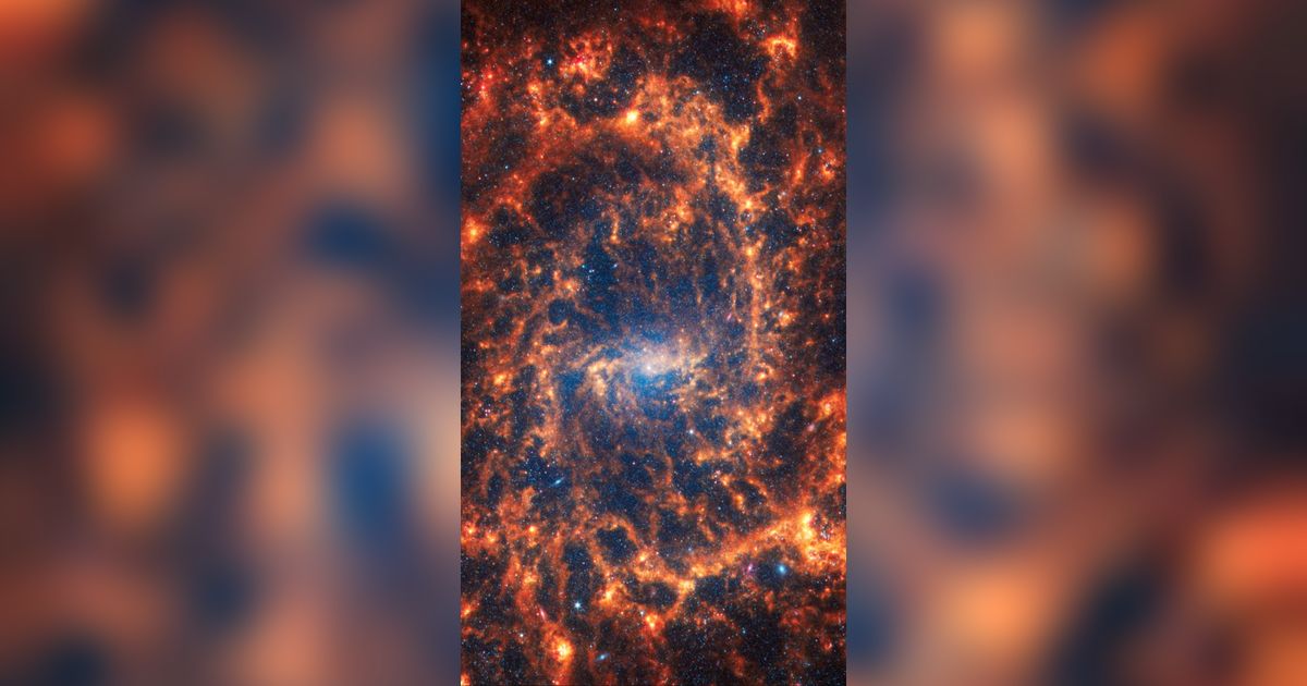 FOTO: Potret Menakjubkan 19 Galaksi Spiral yang Ditangkap Teleskop James Webb, Lokasinya Dekat Bima Sakti