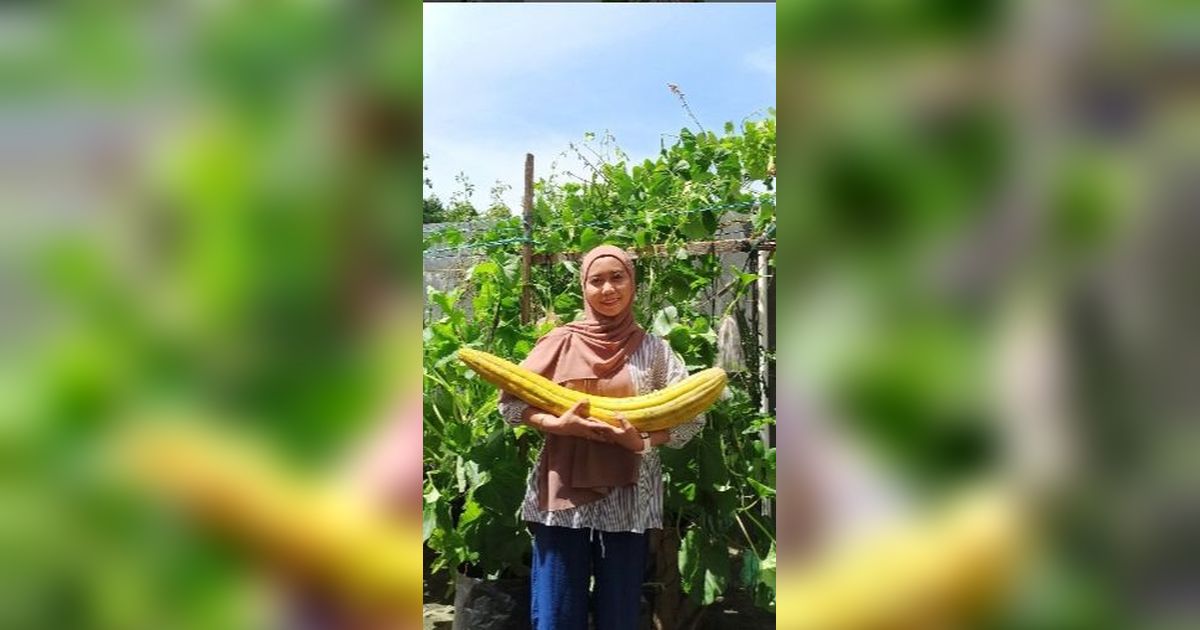 Potret Kebun di Lantai 29 Apartemen, Luasnya Cuma 1x1 Meter, Tak Disangka Hasil Panennya