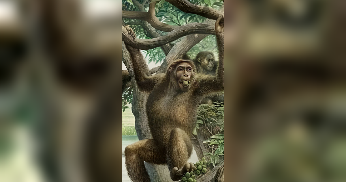 Meneruskan Teori Darwin, Ilmuwan Soroti Bagaimana Pertama Kali Manusia Bisa Berjalan Tegak?