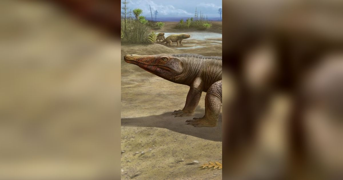 Penemuan Amphibi Raksasa di Zaman Triasik Mulai Digali di Brazil
