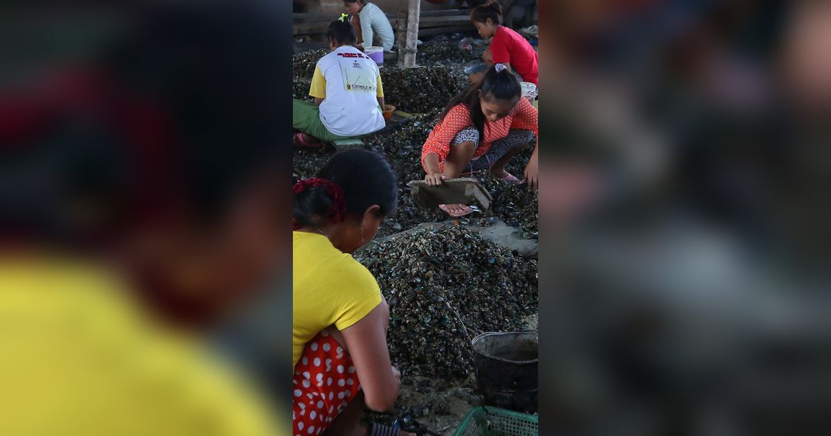 Limbah Kulit Kerang Ternyata Bisa ‘Disulap’ Jadi Paving Block & Closet Jongkok, Begini Caranya