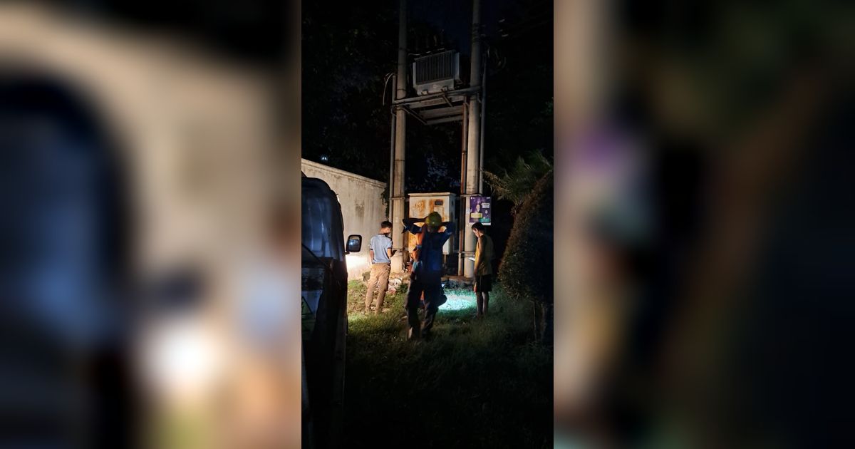 Viral Penemuan Kelelawar Raksasa di Depok, Menabrak Gardu Hingga Mati Listrik