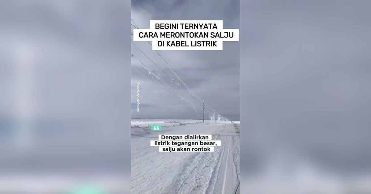 VIDEO: Begini Ternyata Cara Merontokkan Salju di Kabel Listrik