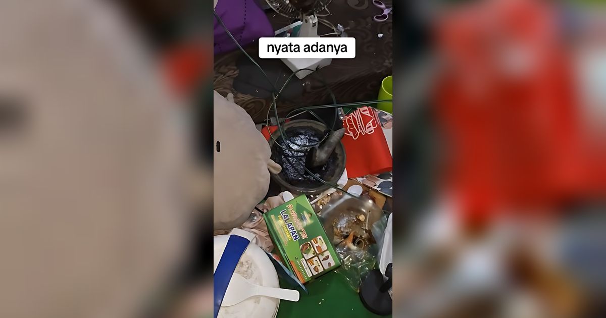 Pemilik Syok Saat Cek Kamar Kos Cewek, Cobek dan Ulekan Kotor Berpadu dengan Sampah, Lemari Pakaian Berisi Piring Kotor dan Tulang Ayam