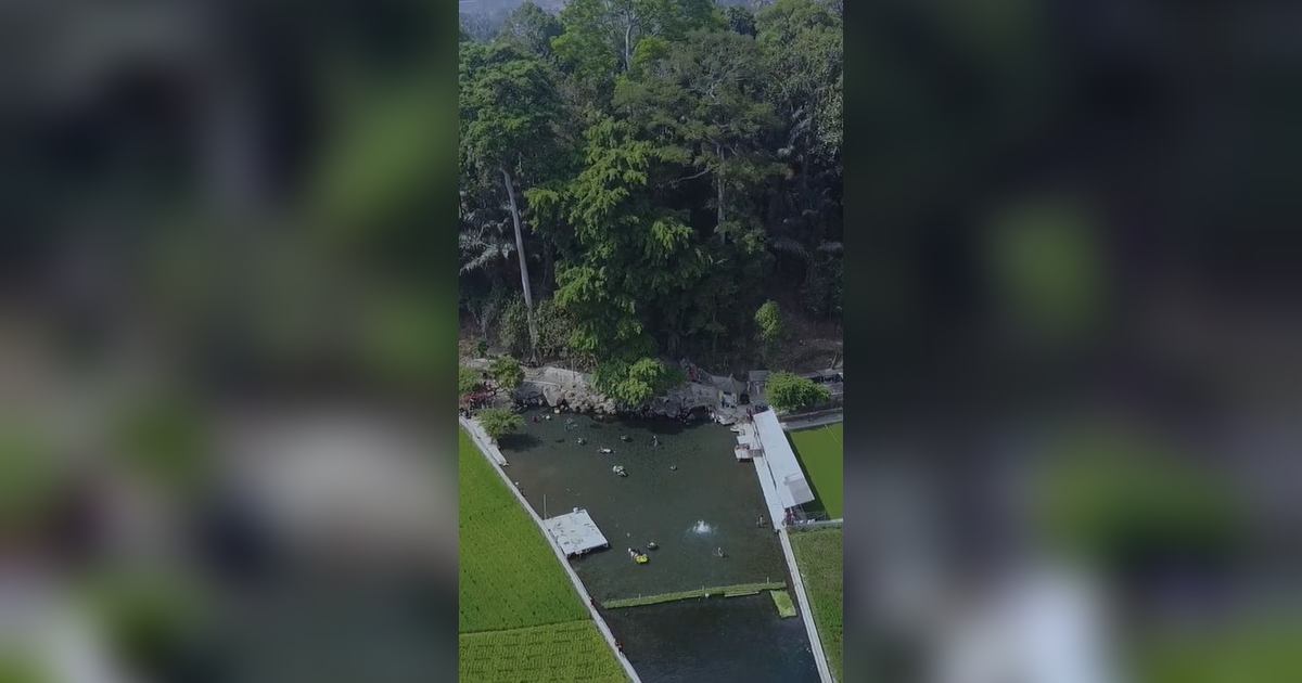 Sensasi Unik Berenang di Mata Air Cikandung Sumedang, Kolamnya Jernih dan Ada di Tengah Sawah